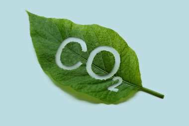 CO2 neutral virksomhed